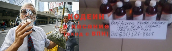 дмт Осташков