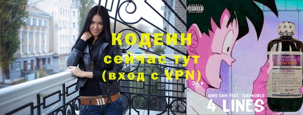 гидра Няндома