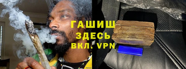 гидра Няндома