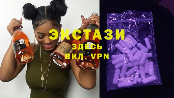 гидра Няндома