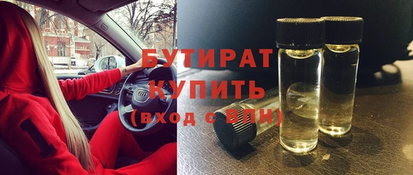 шишки Сясьстрой