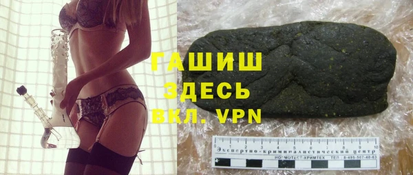 гидра Няндома