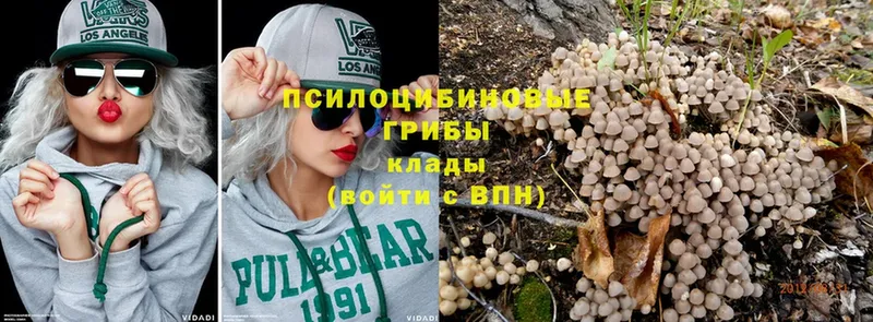 Псилоцибиновые грибы Magic Shrooms  купить закладку  Коммунар 