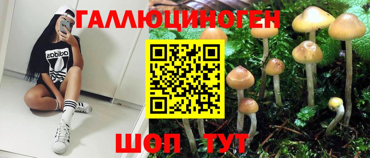 Псилоцибиновые грибы Magic Shrooms  Коммунар 
