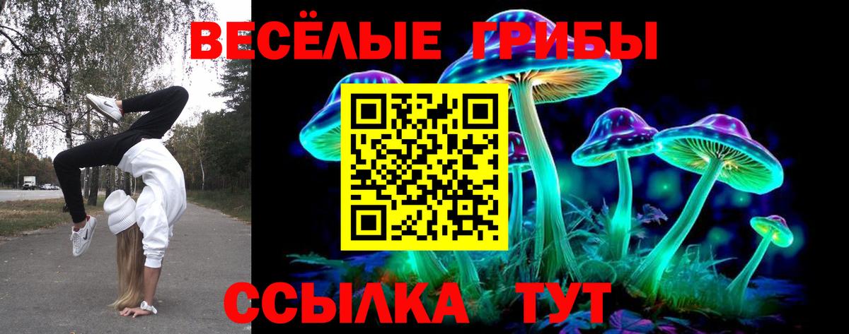 Галлюциногенные грибы MAGIC MUSHROOMS  Вход с VPN  Коммунар 