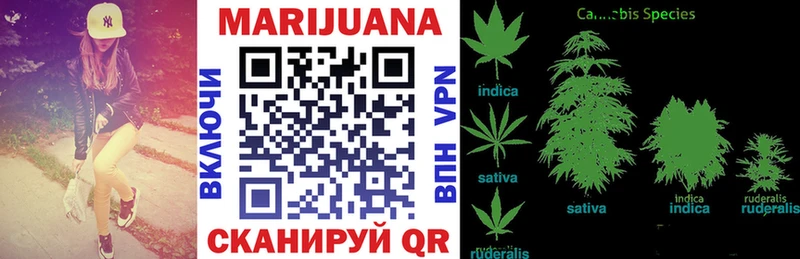 mega   как найти   Коммунар  Каннабис планчик 